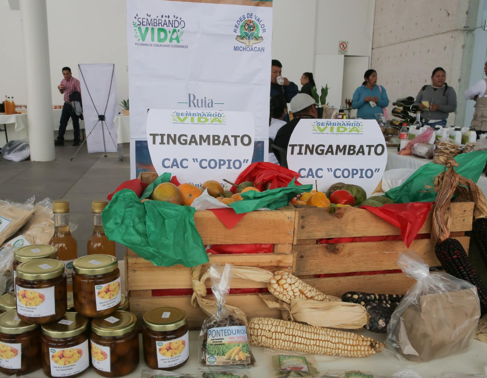 De acuerdo con la subsecretaria de Organización y Desarrollo de la Sader, Marx Aguirre Ochoa, los proyectos de Sembrando Vida, de CAC, radicados en Múgica, Tzitzio y Morelia, manejan productos como mango y mezcal, entre otros.