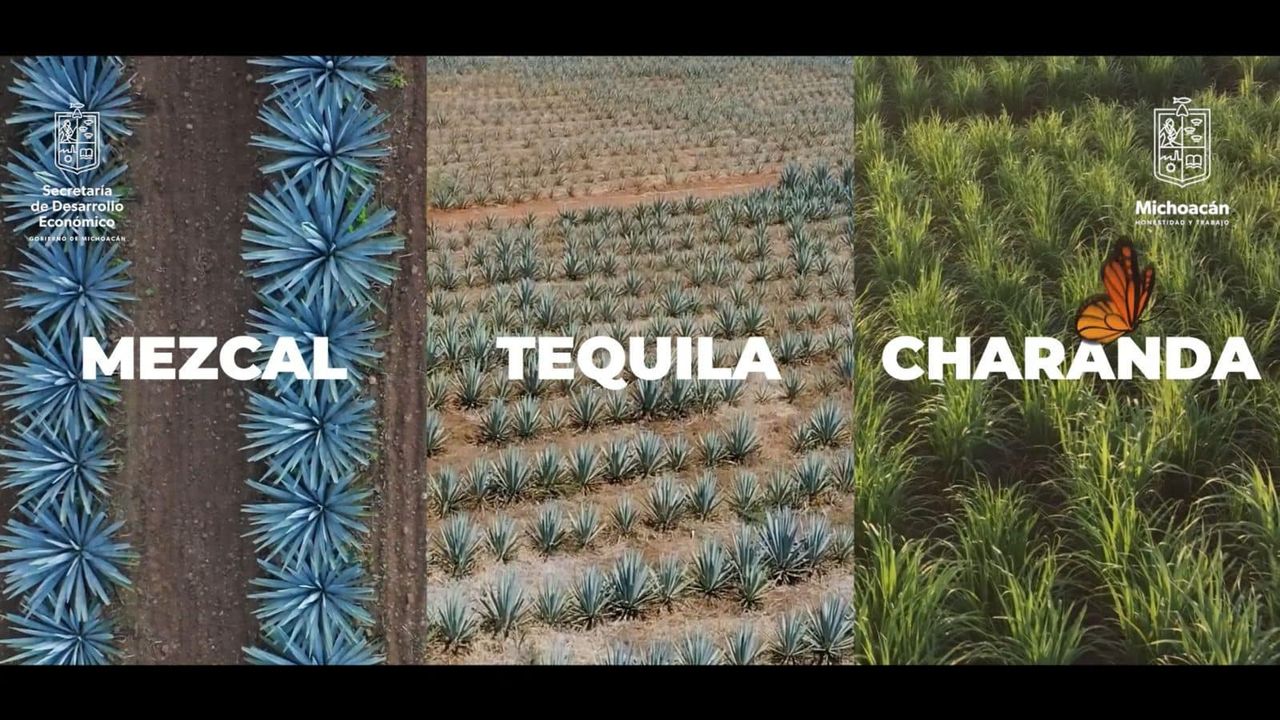 Se explicó que Michoacán es el único estado del país que cuenta con tres denominaciones de origen en bebidas: charanda, mezcal y tequila, lo que lo convierte en una importante área de oportunidad para su producción.