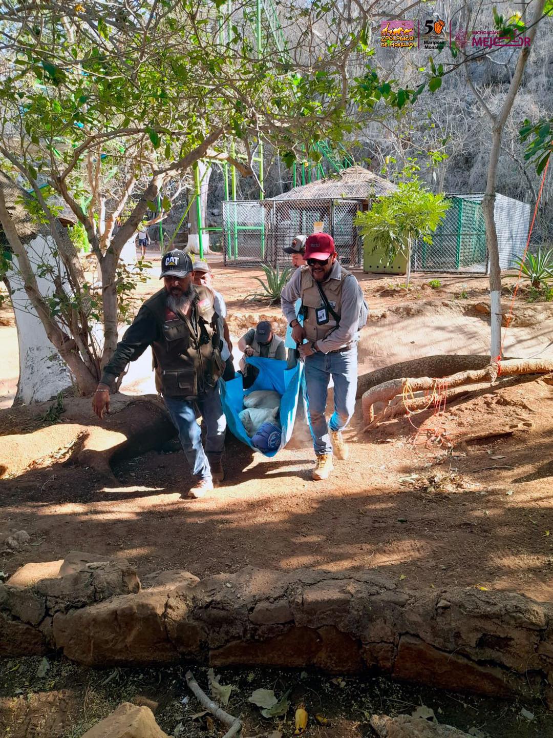 Hace unos días vi un tick tocker que los anunciaba con bombo y platillo el cenote azul en huetamo.